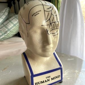 The Human Mind Ceramic 8” Phrenology Brain Map Bust